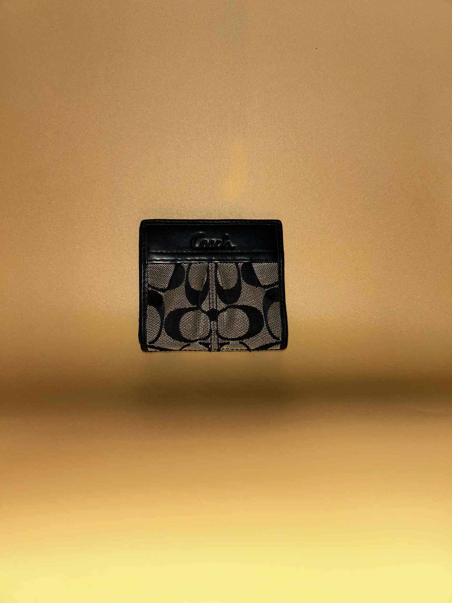 Coach #170 preloved