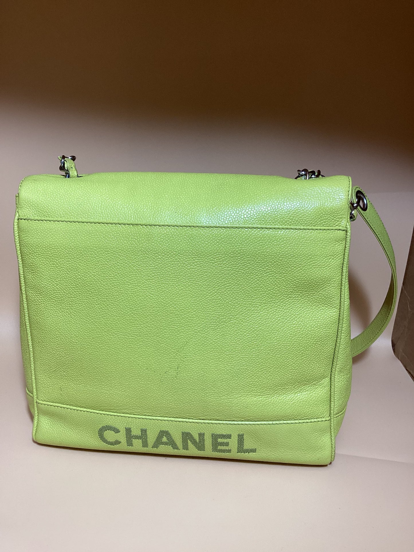 CHANEL #227 PRELOVED