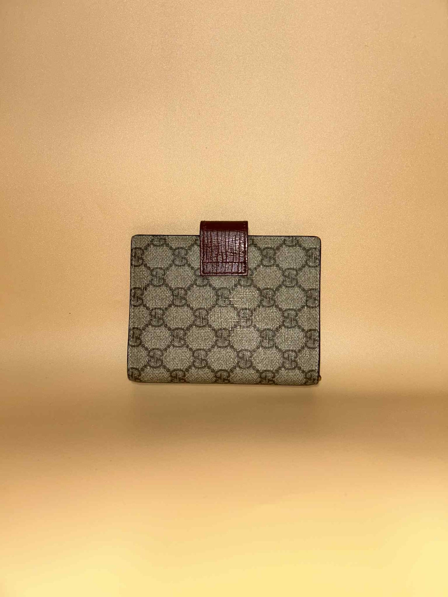Gucci #310 preloved