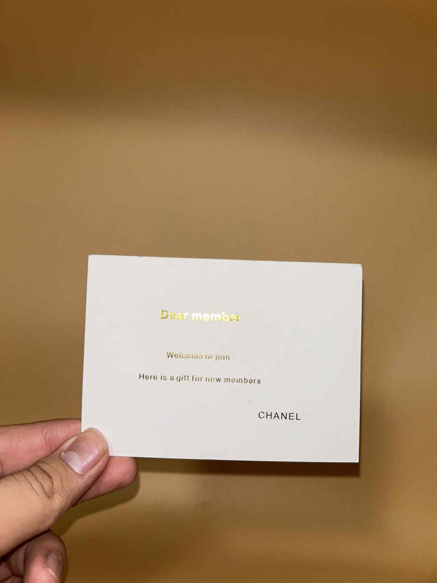 Chanel #284 New