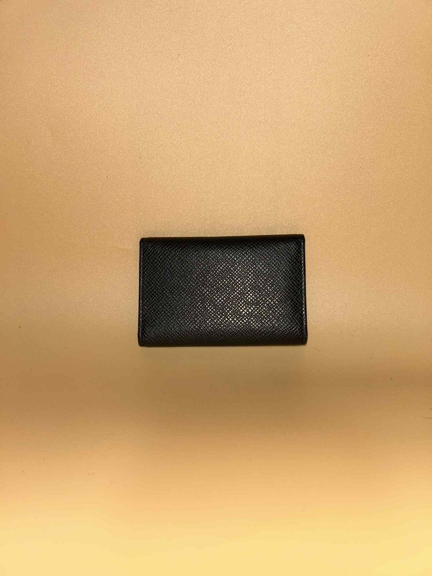 Louis Vuitton #308 preloved