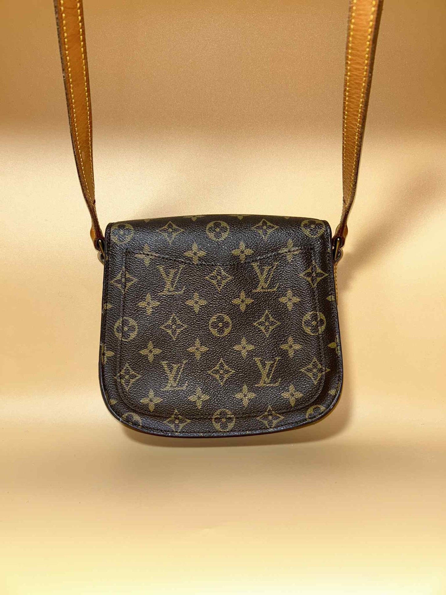 Louis Vuitton #341 preloved
