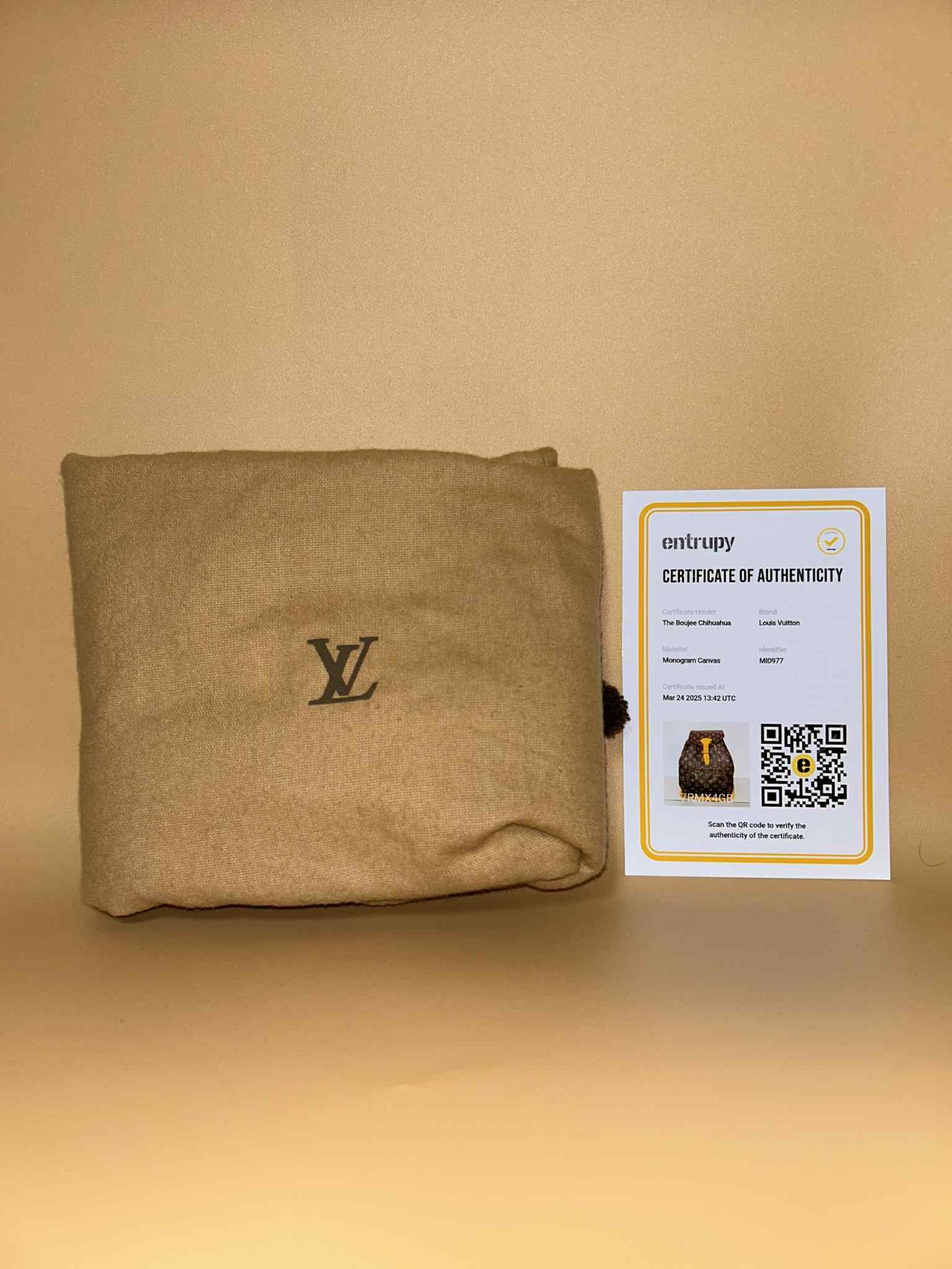 Louis Vuitton #298 preloved