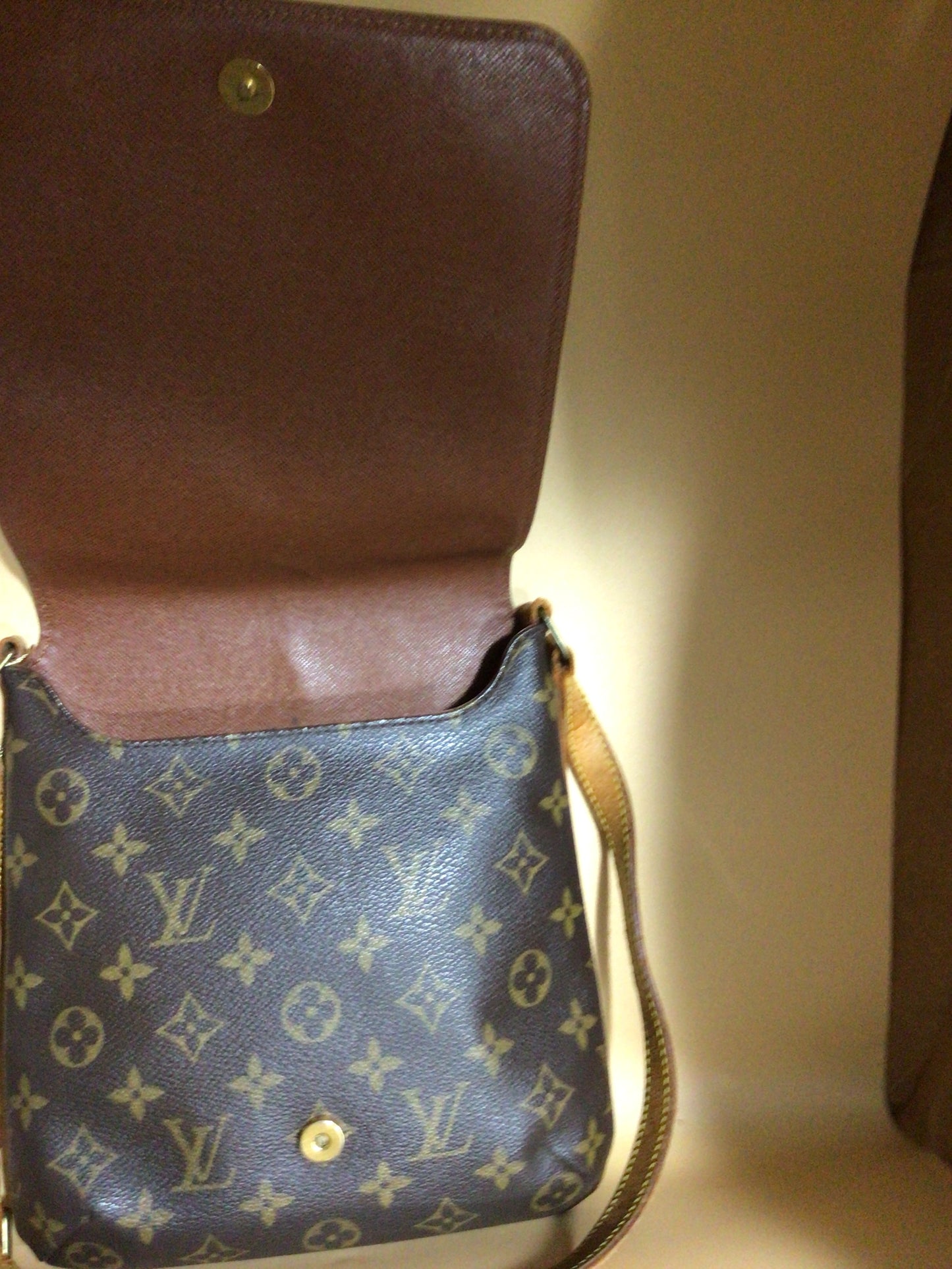 LV salsa pm #413