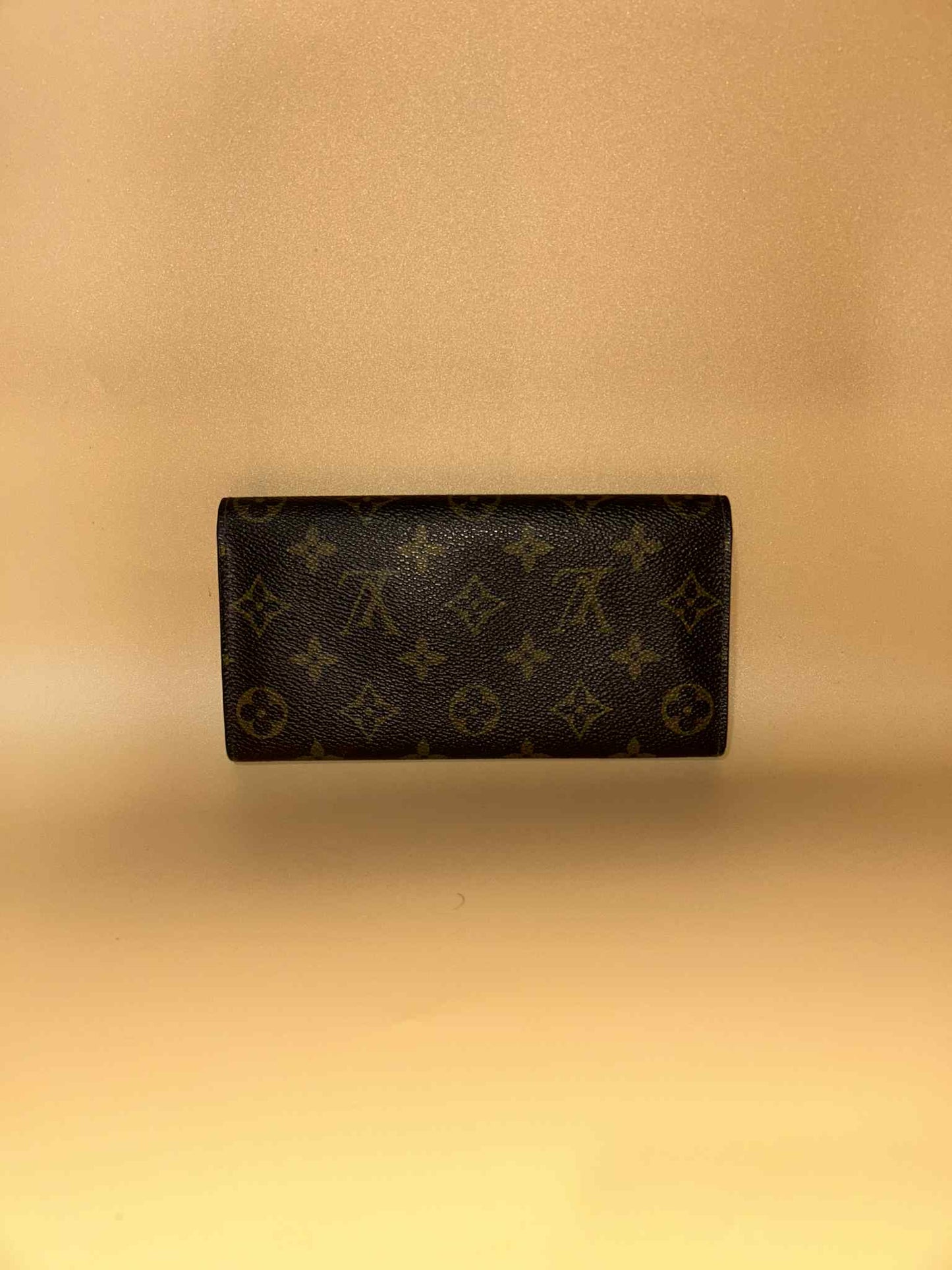 Louis Vuitton #360 preloved
