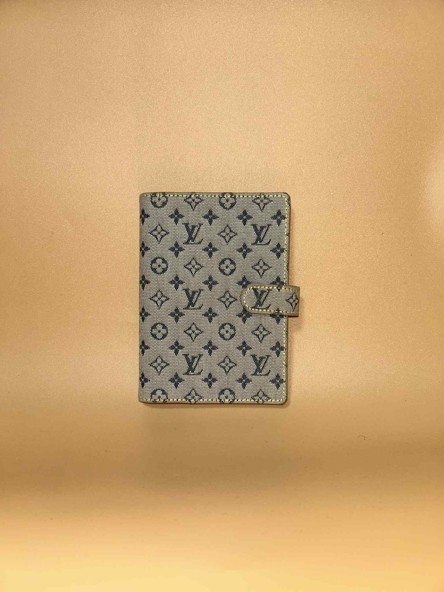 Louis Vuitton #273 preloved